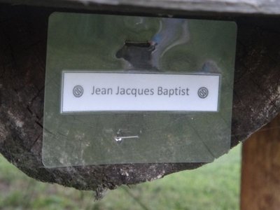 DSC03309.JPG (66.71 KiB) Viewed 6883 times DSC03309.JPG